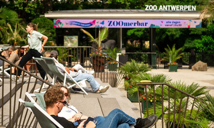 ZOOmerbar dé hotspot van Antwerpen